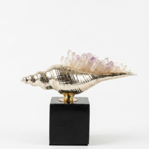 Crystal Tide Shell