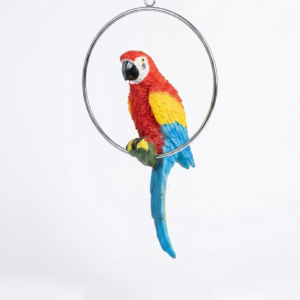 Scarlet Crest Parrot