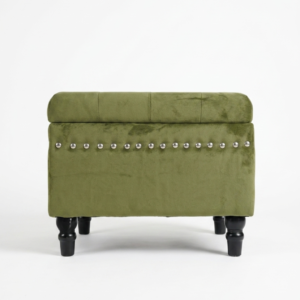 Green Storage Bench