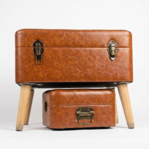 Vintage Trunk Stool