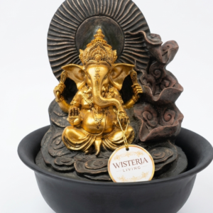 Divine Aura Ganesha