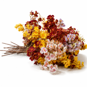 Sunset Floral Symphony
