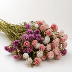 Blush & Plum Aster Arrangement