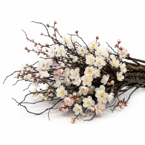 Ivory Blossom Cascade