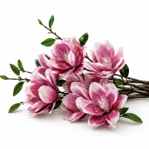 Blush Magnolia Luxe